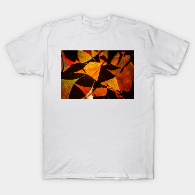 Backlit Acer Palmatum Leaves T-Shirt by GrahamPrentice